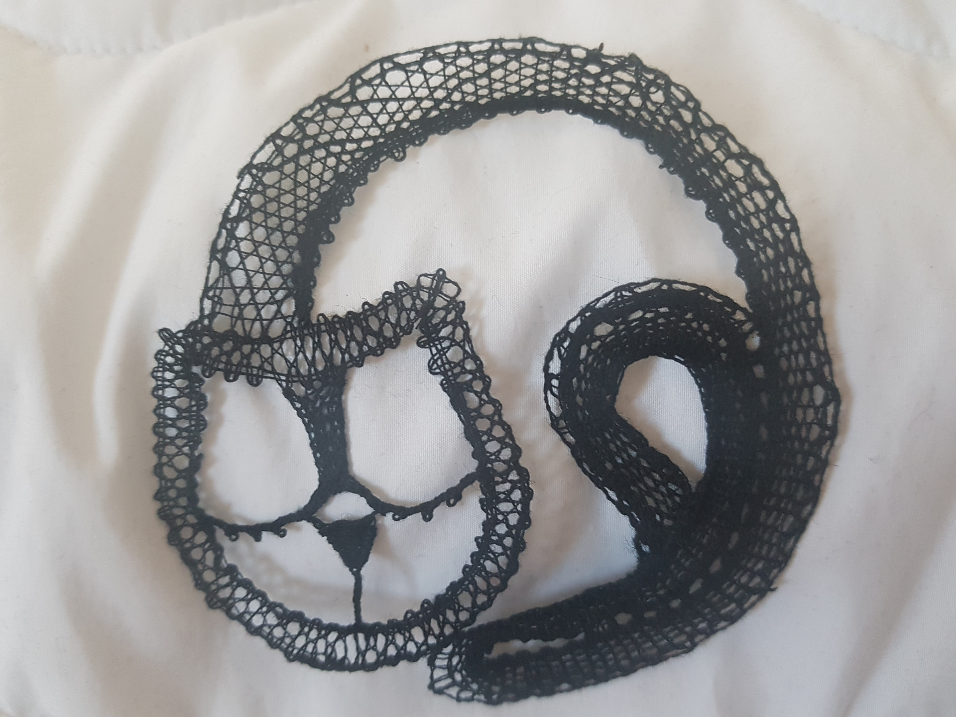 Petit chat noir en dentelle